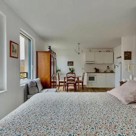 Apartment Nid Calme Petite France Strasbourg