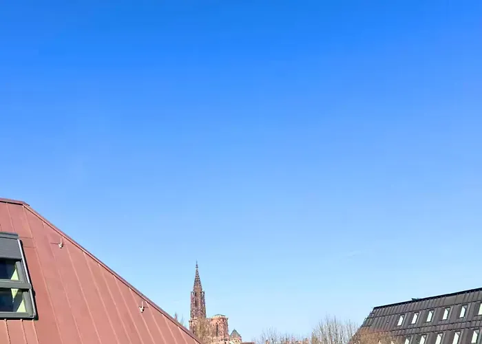 Nid Calme Petite France Appartamento Strasburgo